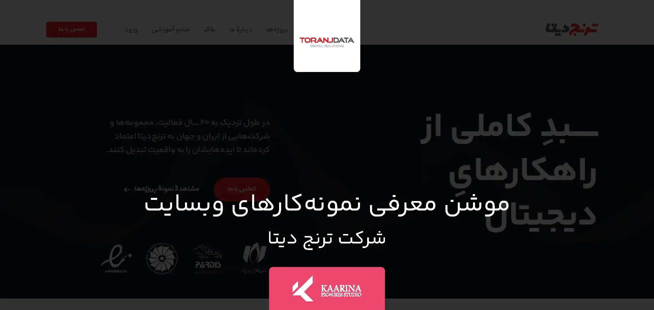 استودیو تبلیغاتی کارینا پیکچرز | نمونه کار موشن وبسایت | شرکت ترنج دیتا