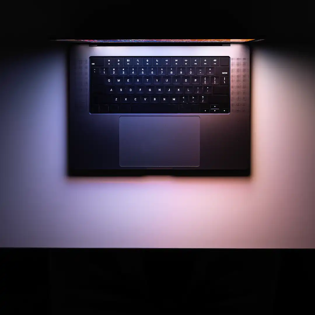 استودیو تبلیغاتی کارینا پیکچرز - خلق برندبوک